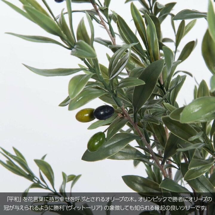 楽天市場 イタリアンオリーブ ヴィットーリア 110cm 陶器鉢付 人工観葉植物 リアル フェイクグリーン 造花 大型 フェイク グリーン インテリア おしゃれ 光触媒 Ct触媒 消臭 お祝い 開店 開業祝い ホテル ルームなど 花言葉 平和 知恵 Nnf フェイクグリーンの神戸花物語