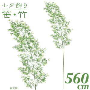 [   tFCNO[ ϗtA |  ^ 厵[ou[c[ L 560cm CeA lH G} SC(CT)G} ۈ牀 wZ { X [G-L]