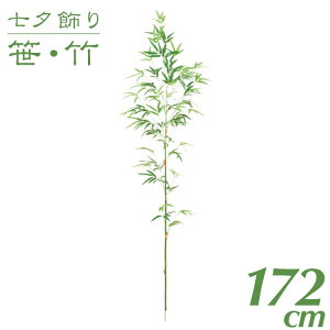 [   tFCNO[ ϗtA |  ^ 172cmou[c[ CeA lH G} SC(CT)G} ۈ牀 wZ { X [G-L][A-B]