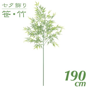 [   tFCNO[ ϗtA |  ^ [pou[c[ 190cm  G} CTG} CeA [G-L]