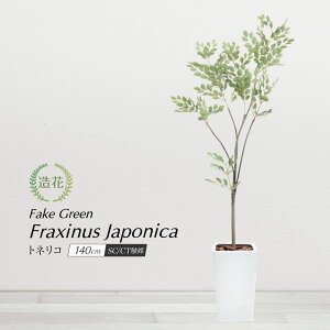 tFCNO[ ϗtA tFCN lHϗtA A ^ A  CeA  CTG} G} L R j { k i` tBJX   / gl