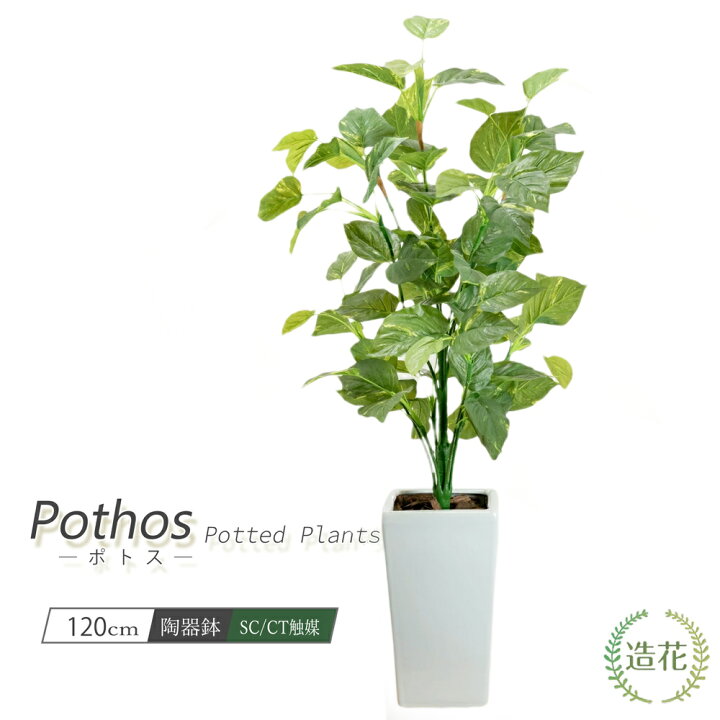 楽天市場 ポトス 1cm リアル フェイクグリーン 人工観葉植物 造花 光触媒 鉢植 7号鉢 陶器鉢 白鉢 黒鉢 インテリア おしゃれ Ct触媒 消臭 抗菌 お祝い プレゼント 贈り物 大切な人に 花言葉 永遠の富 華やかな明るさ 長い幸せ T5104 Nnf フェイクグリーンの神戸花 物語