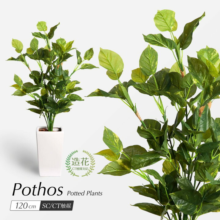 楽天市場 人工観葉植物 リアル フェイクグリーン 観葉植物 造花 光触媒 大型 ポトス 1cm 鉢植 インテリア おしゃれ フェイク グリーン Ct触媒 消臭 抗菌 お祝い T5104 フェイクグリーンの神戸花物語