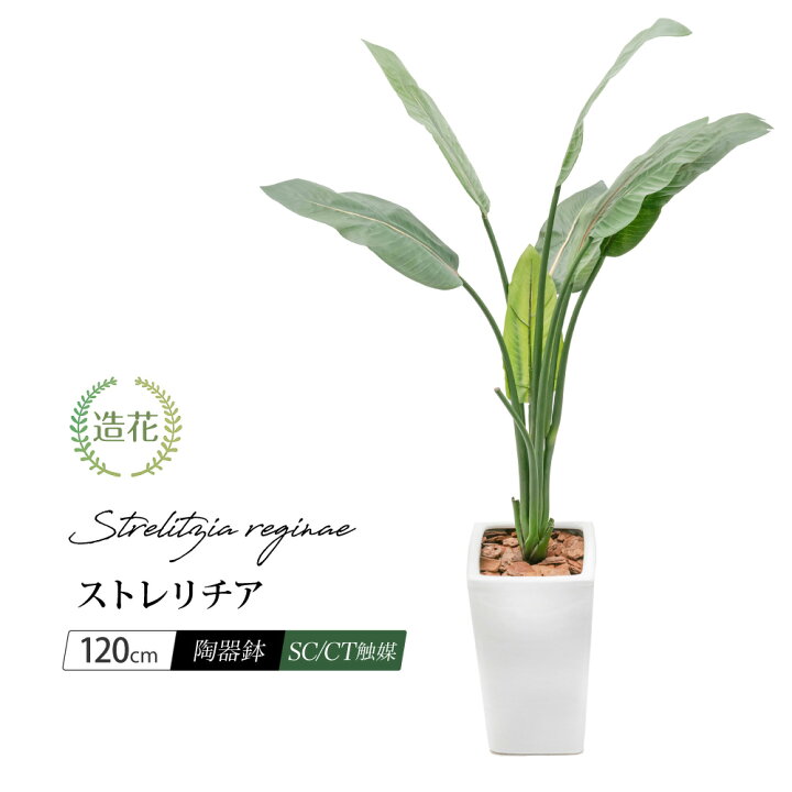 楽天市場】フェイクグリーン 観葉植物 フェイク 人工観葉植物 大型 