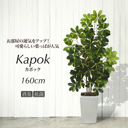 人工観葉植物フェイクグリーン観葉植物造花光触媒大型シェフレラナチュラルカポックツリー160cm鉢植斑入りインテリアおしゃれフェイクグリーンCT触媒消臭抗菌お祝い