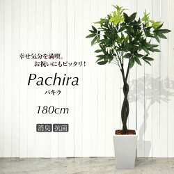 【フェイクグリーン大型】パキラツリー180cm鉢植【観葉植物フェイクグリーン人工観葉植物光触媒造花CT触媒インテリアお祝い開店祝い】