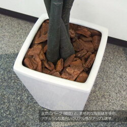 パキラツリー180cm観葉植物フェイクグリーン人工観葉植物光触媒造花CT触媒インテリアフェイクグリーン【送料無料】