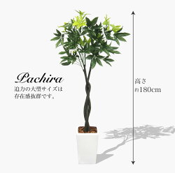 パキラツリー180cm観葉植物フェイクグリーン人工観葉植物光触媒造花CT触媒インテリアフェイクグリーン【送料無料】