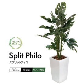 楽天市場 光触媒 観葉植物の通販