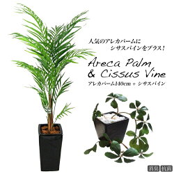 フェイクグリーンアレカヤシアレカパーム140cmM鉢とシサスバインのセット【観葉植物造花大型光触媒CT触媒人工観葉植物フェイクグリーンAreca】