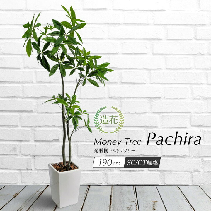 楽天市場 人工観葉植物 リアル フェイクグリーン 観葉植物 造花 光触媒 大型 発財樹 パキラツリー 190cm 鉢植 フェイク グリーン インテリア おしゃれ Ct触媒 お祝い フェイクグリーンの神戸花物語