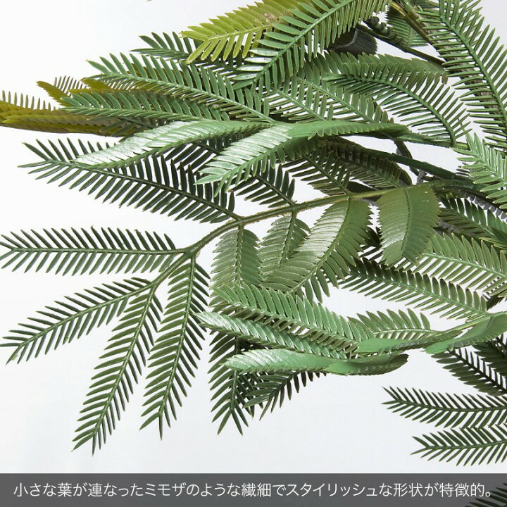 楽天市場 人工観葉植物 リアル フェイクグリーン 観葉植物 造花 光触媒 大型 エバーフレッシュ 175cm 鉢植 ネムノキ エバーグリーン フェイク グリーン インテリア おしゃれ Ct触媒 お祝い フェイクグリーンの神戸花物語