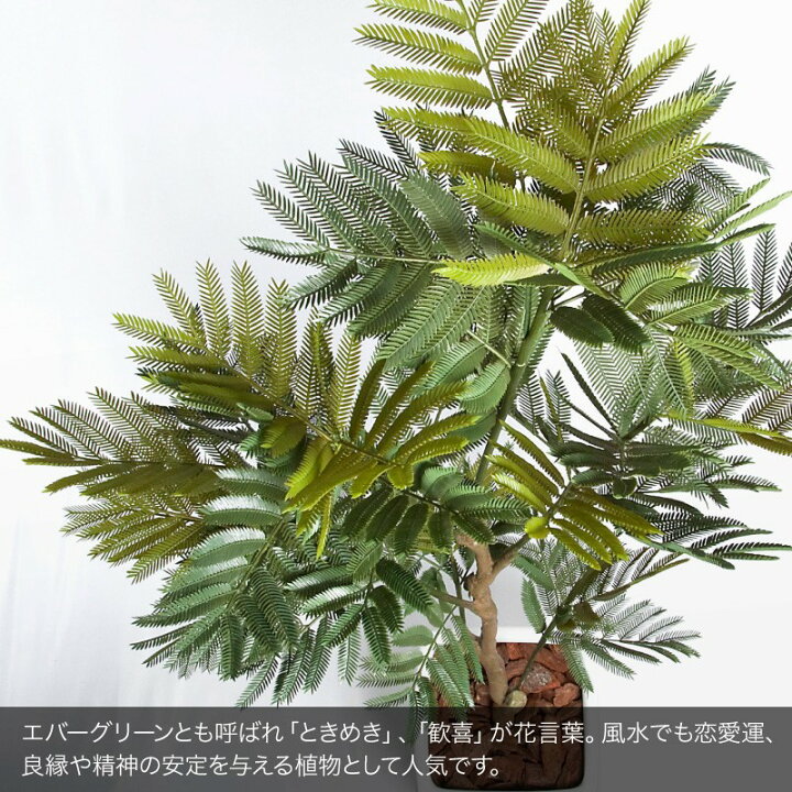 楽天市場 P10倍 3 11 01 59まで 人工観葉植物 リアル フェイクグリーン 観葉植物 造花 光触媒 大型 エバーフレッシュ 175cm 鉢植 ネムノキ エバーグリーン フェイク グリーン インテリア おしゃれ Ct触媒 お祝い フェイクグリーンの神戸花物語