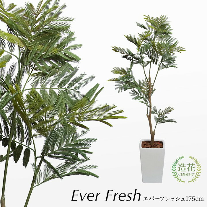 楽天市場】フェイクグリーン 観葉植物 フェイク リアル 人工観葉植物 