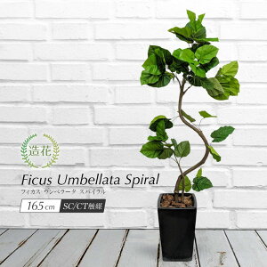 観葉植物 造花 大型の人気商品 通販 価格比較 価格 Com