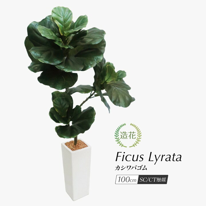 楽天市場】人工観葉植物 フェイクグリーン 観葉植物 造花 光触媒 大型 
