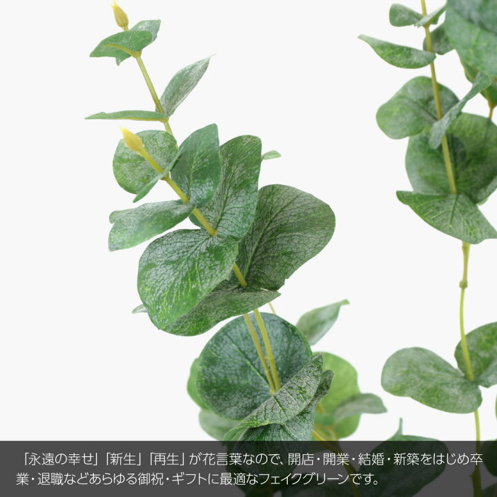楽天市場 フロストユーカリポット トリプル 95cm 人工観葉植物 リアル フェイクグリーン 造花 鉢植 インテリア おしゃれ 光触媒 Ct触媒 お祝い 開店 開業祝い 花言葉 再生 新生 思い出 記憶 フェイクグリーンの神戸花物語