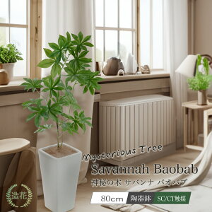 フェイクグリーン 観葉植物 フェイク 人工観葉植物 大型 光触媒 神秘の木 サバンナ バオバブツリー 80cm 陶器鉢 鉢植 造花 リアル 人工光触媒 CT触媒 セネガル 一千年の木 星の王子様 プレゼン