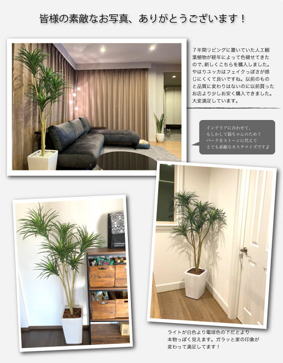 楽天市場】フェイクグリーン 観葉植物 ユッカ フェイク 人工観葉植物 
