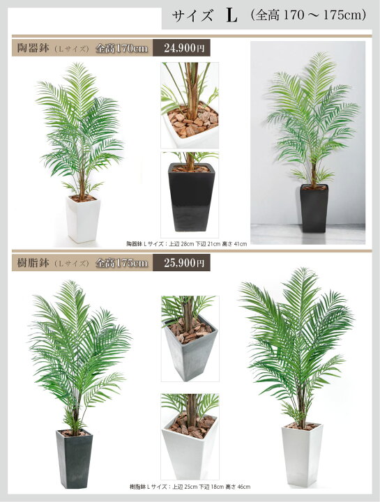 楽天市場】フェイクグリーン 観葉植物 フェイク グリーン 人工観葉植物 