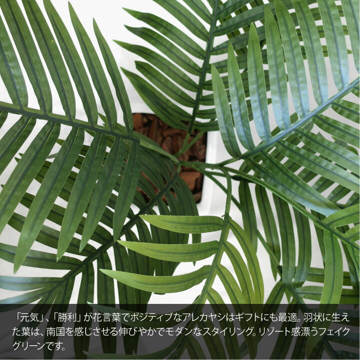楽天市場】【楽天スーパーSALE 30%OFF】フェイクグリーン アレカヤシ 