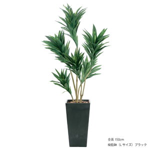 tFCNO[ A lHϗtA ^ G} CTG} L A   {  bJ hZi RpN^[ ItBX CeA RfBl  [nnf] [rcp] / R