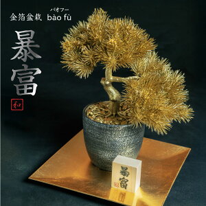  ~ \x lHϗtA tFCNO[  J^  \x ^F t VN g嗘  N u   S[h a_ a CeA rO { / 