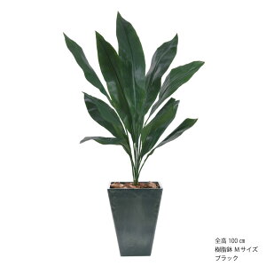 _10%OFFN[|^ tFCNO[ lH ϗtA  ^ G} L  rO A p[e[V  CeA R rO j JXj Vzj A