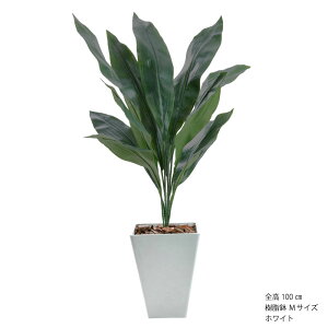 tFCNO[ lH ϗtA  ^ G} L  rO A p[e[V  CeA R rO j JXj Vzj A 蕨 JƏj JX