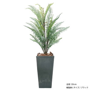 tFCNO[ ϗtA tFCN lHϗtA ^ G} L   rO { A  CTG} A i` AeB[N re[W CeA k