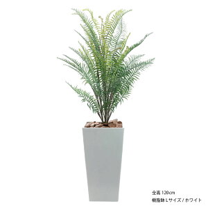 tFCNO[ ϗtA tFCN lHϗtA ^ G} L   rO { A  CTG} A i` AeB[N re[W CeA k