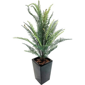 tFCNO[ ϗtA tFCN lHϗtA ^ G} L   rO { A  CTG} A i` AeB[N re[W CeA k 