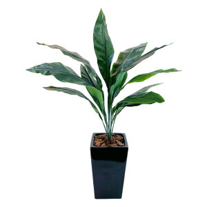 tFCNO[ ϗtA 100cm lHϗtA ^ G} L  A p[e[V  CeA R rO j JXj A JƏj JXj  / n