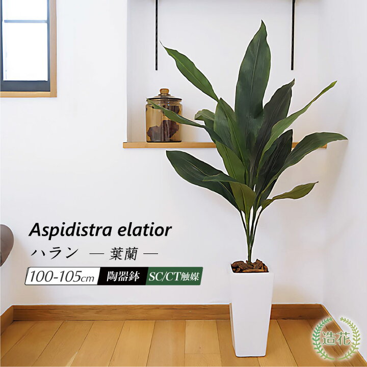 楽天市場】フェイクグリーン 観葉植物 100cm 人工観葉植物 大型 光触媒 