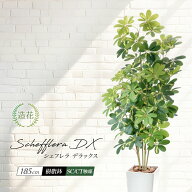 フェイクグリーン 大型 2m 人工観葉植物 人気 おしゃれ 観葉植物 造花 光触媒 CT触媒 消臭 リビング パー…