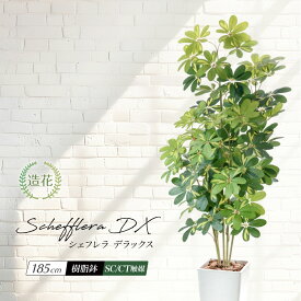 ＼10%OFFクーポンあり／ 〜12/11 1:59 フェイクグリーン 大型 2m 人工観葉植物 人気 おしゃれ 観葉植物 造花 光触媒 CT触媒 消臭 リビング パーテーション ナチュラル カポック リアル インテリア 送料無料 あす楽 / シェフレラ DX デラックス 185cm 樹脂鉢Lサイズ