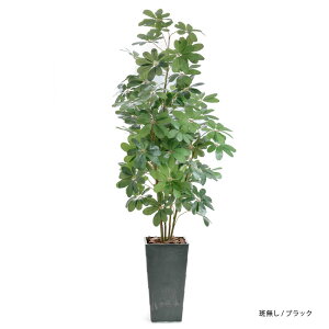 _10%OFFN[|^ `11/27 1:59 tFCNO[ ^ 2m lHϗtA lC  ϗtA  G} CTG} L rO p[e[V i` J|bN A CeA 