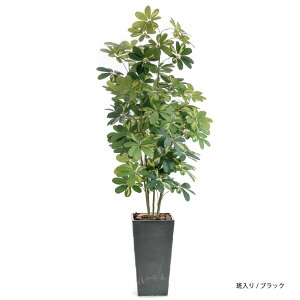 tFCNO[ ^ 2m lHϗtA lC  ϗtA  G} CTG} L rO p[e[V i` J|bN A CeA  y / VFt DX 