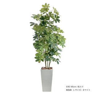 _10%OFFN[|^ tFCNO[ ^  ϗtA  G} CTG} L rO lHϗtA p[e[V i` JXj A CeA  j 