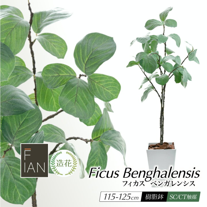 楽天市場】フェイクグリーン 観葉植物 フェイク 人工観葉植物 大型 