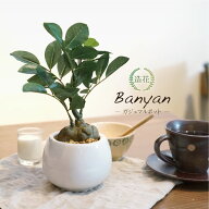 フェイクグリーン 観葉植物 フェイク 人工観葉植物 卓上 ミニ 小さい 小型 光触媒 リアル ミニ 人工ミニ…