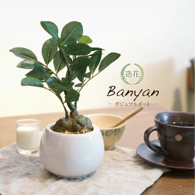 フェイクグリーン 観葉植物 フェイク 人工観葉植物 卓上 ミニ 小さい 光触媒 リアル ミニ 人工ミニ観葉 造花 光触媒 おしゃれ かわいい 北欧 陶器鉢 テーブル インテリア CT触媒 人気 母の日 [whd][md][fd][kd][rcp] / ガジュマル ポット 25cm