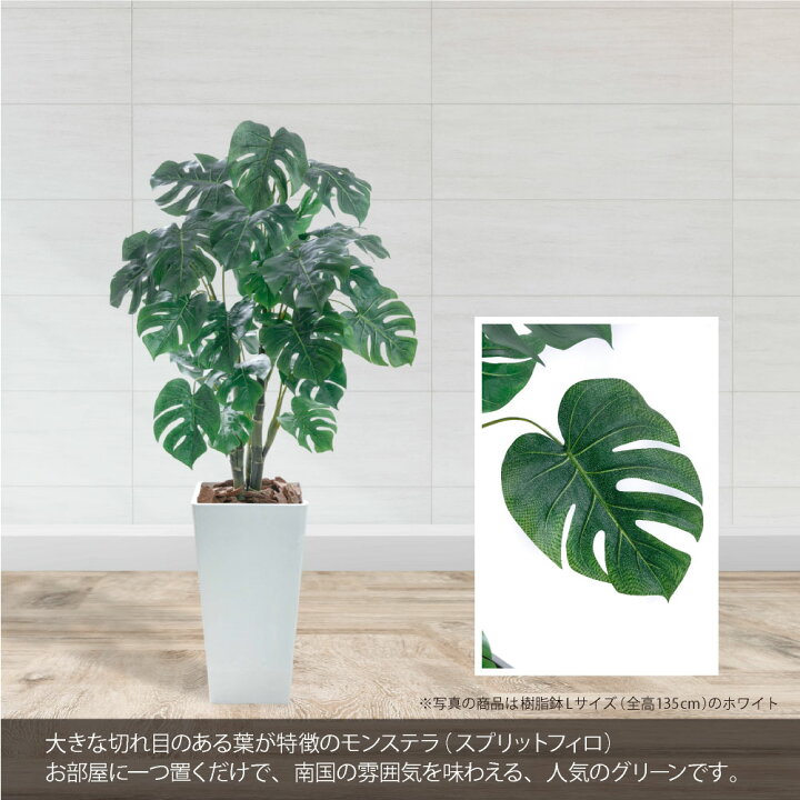 楽天市場】フェイクグリーン モンステラ 人工 観葉植物 大型 光触媒 消 