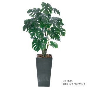 _10%OFFN[|^ tFCNO[ Xe lHϗtA ^ G} L R  rO p[e[V  nCA ][g FRP t JXj  Vzj 