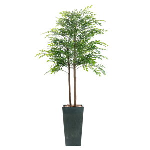 tFCNO[ VR؎gp ϗtA tFCN lHϗtA ^ G} L  k i` j JƏj rO JXj Vzj p[e[V CTG} A 