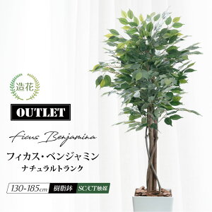 _10%OFFN[|^ tFCNO[ ϗtA xW~ lHϗtA VR؎gp ^ G} A  L R  rO p[e[V  / AEgbg 