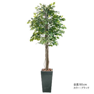 _10%OFFN[|^ tFCNO[ xW~ lHϗtA VR؎gp ^ G} A  L R  j JƏj rO JXj Vzj p[e[V 