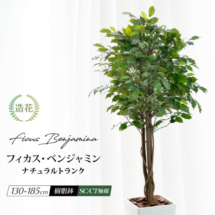 楽天市場】フェイクグリーン ベンジャミン 人工観葉植物 天然木使用 