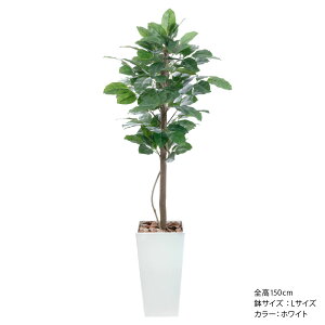 _10%OFFN[|^ tFCNO[ lH ϗtA VR؎gp ^ G} A  L R  j J JX Vzj p[e[V xK{_CW  / 