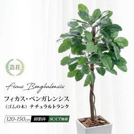 フェイクグリーン 人工観葉植物 天然木使用 大型 光触媒 リアル 造花 消臭 抗菌 おしゃれ お祝い 開業祝い リビング 開店祝い 新築祝い パーテーション ベンガルボダイジュ 送料無料 [rcp][nnf] / ナチュラルトランク フィカス ベンガレンシス ゴムの木 120cm 130cm 150cm